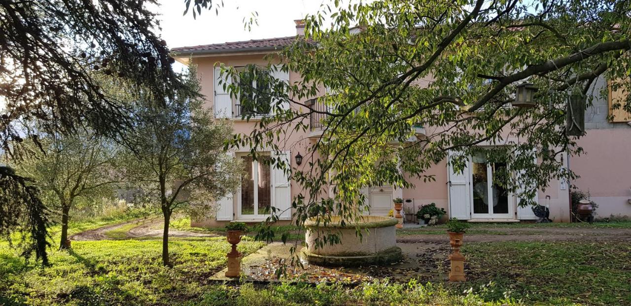 L'Ecrin De Vert Saint-Alban-du-Rhone Ngoại thất bức ảnh