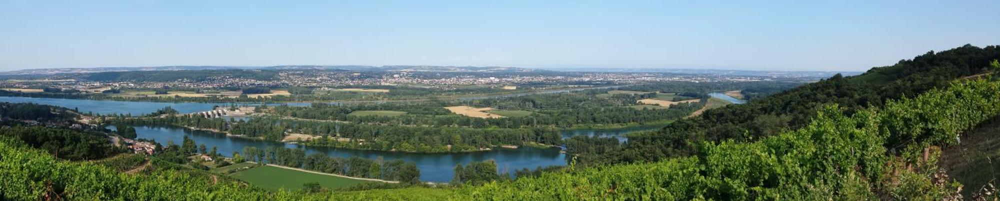 L'Ecrin De Vert Saint-Alban-du-Rhone Phòng bức ảnh